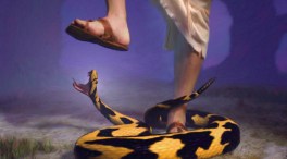 Jesus - stomping